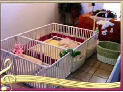 Roverpet Small Puppy Rails