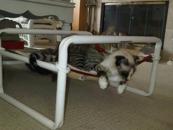 Cat Bed Furry Pad