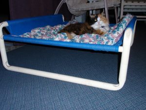 Portable Indoor Kitty Beds