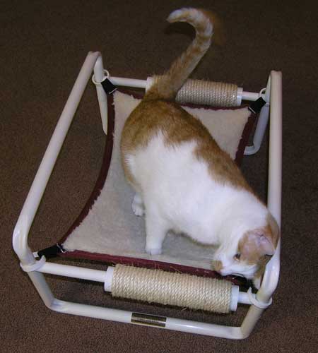 Portable Indoor Feline Beds