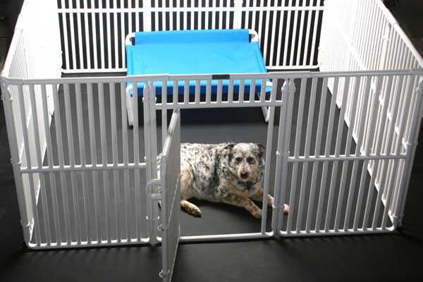 Hypoallergenic Indoor Dog Cage