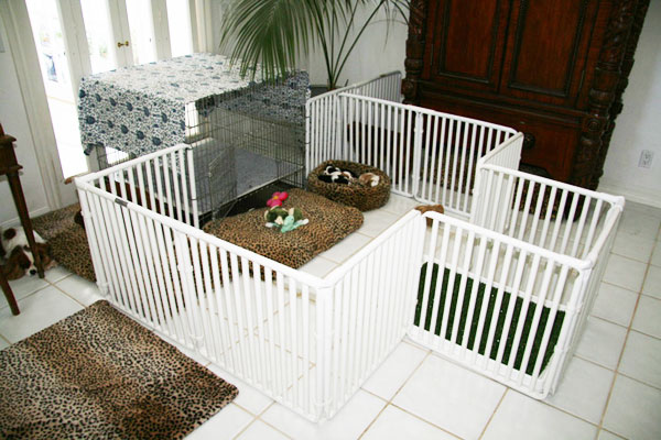 Tall Dog Exercise Cage