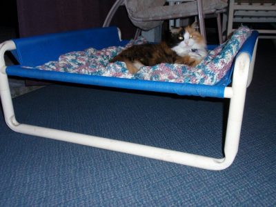 Indoor Comfy Kitten Furniture
