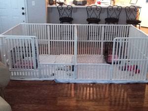 Plastic Pet Dog Cages
