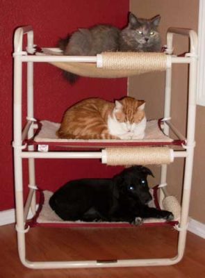 Durable Indoor Kitten Beds
