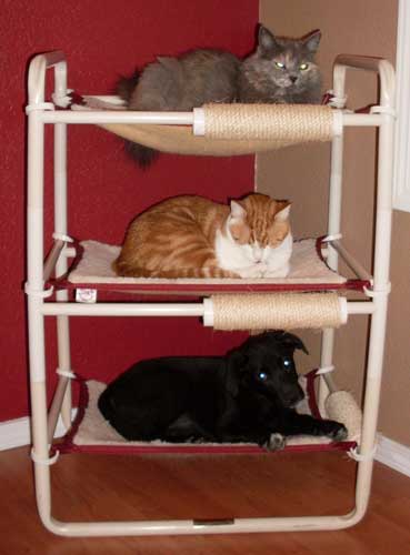 Durable Indoor Kitten Beds
