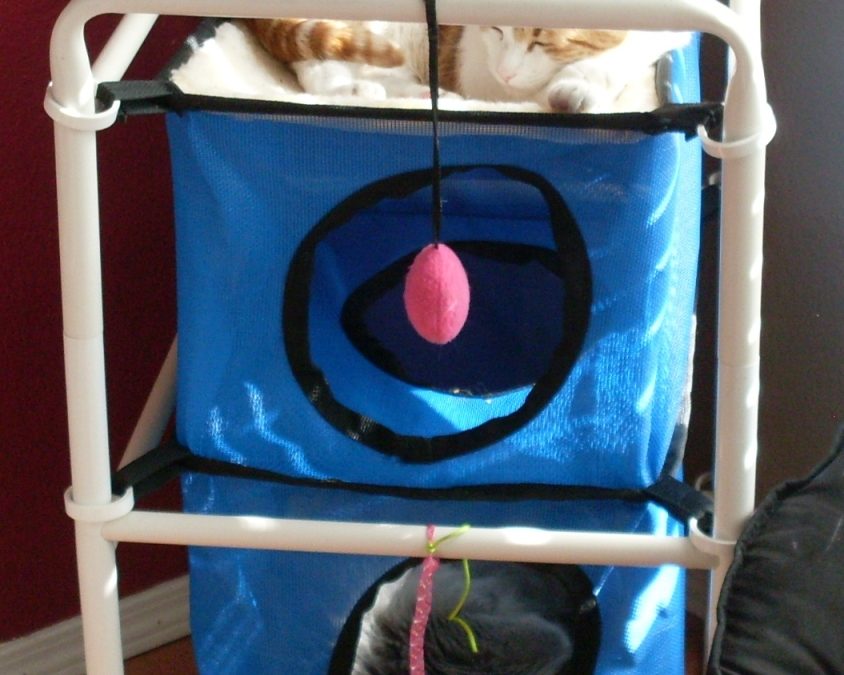 Durable Indoor Kitty Bed