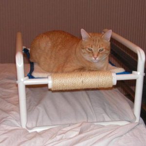Single Level Cat Beds