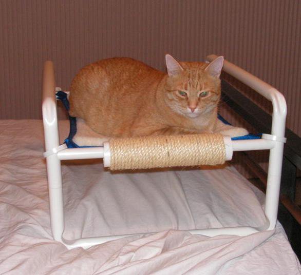 Comfy Cute Feline Bed by Roverpet.com