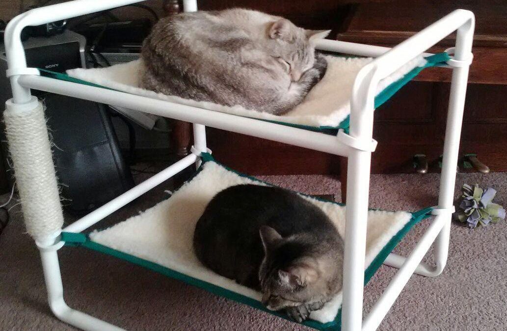 Modern Cozy Kitty Beds