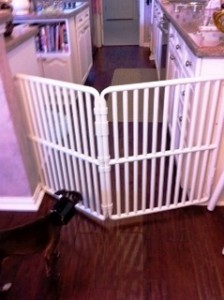 Indoor Dog Gates
