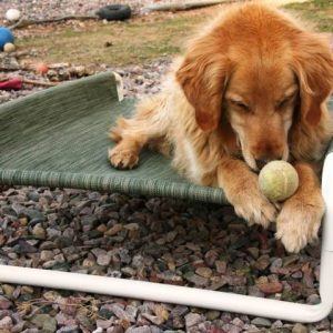Dog Bed Replacement Covers
