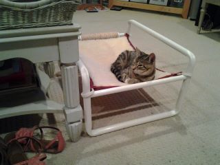 Single Level Cat Bed Frame