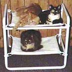 Two Level Cat Bed Frame