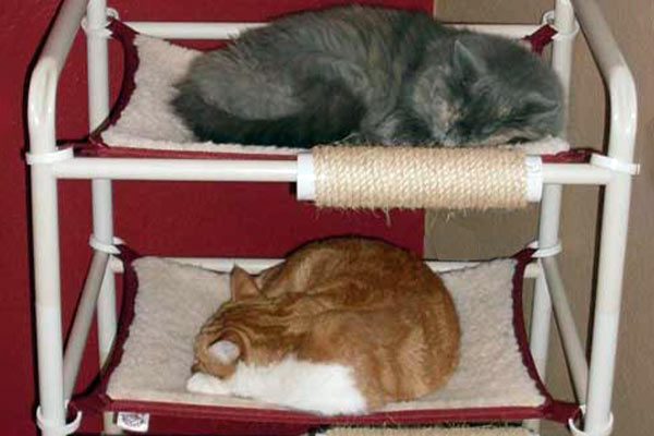 Indoor Comfy Feline Furniture