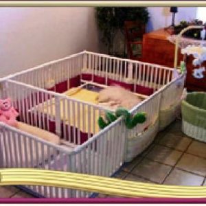 Small Weaning Pen