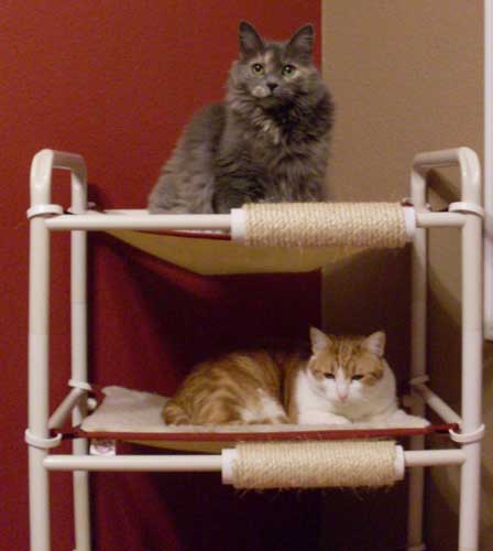 two level cat hammock