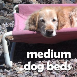 Medium Raised Dog Beds