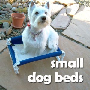 Small Dog Beds