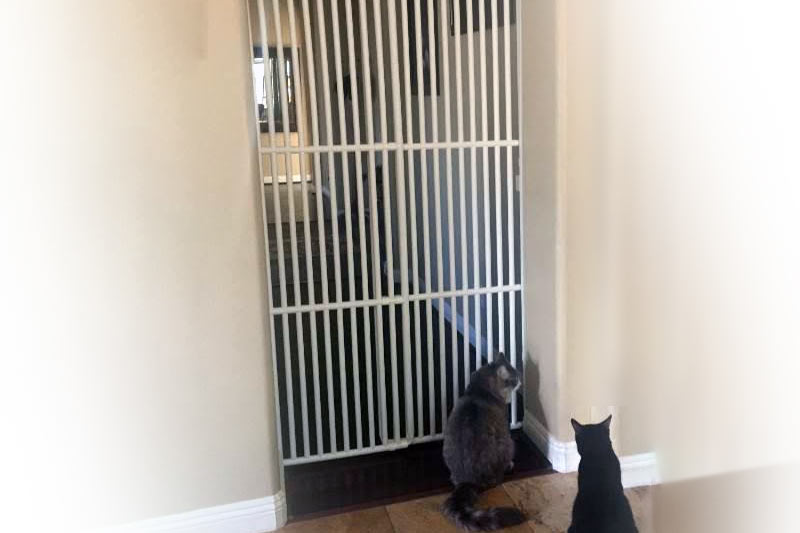 Tall Indoor Dog Gate
