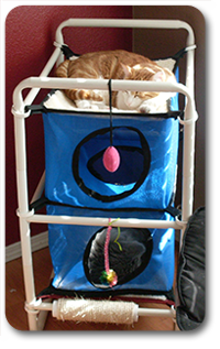 Elevated Indoor Cat Bed