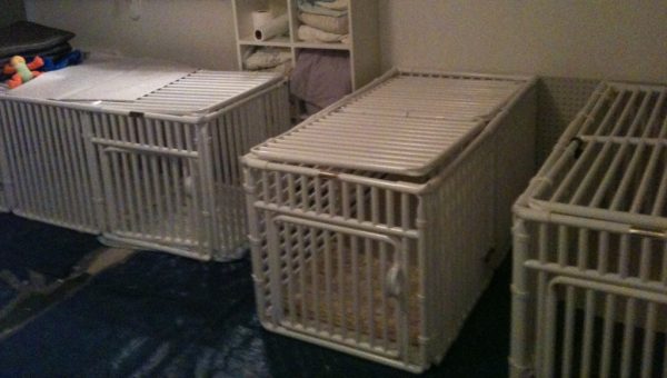 Pet Cages Top