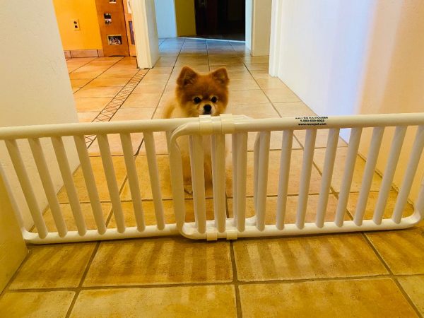 Small Pet Puppy Gate