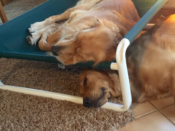 Dog Bed PVC Arms