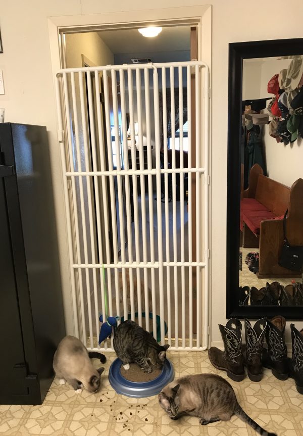 Indoor Plastic Feline Barrier
