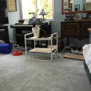 Indoor Raised Kitty Hammock