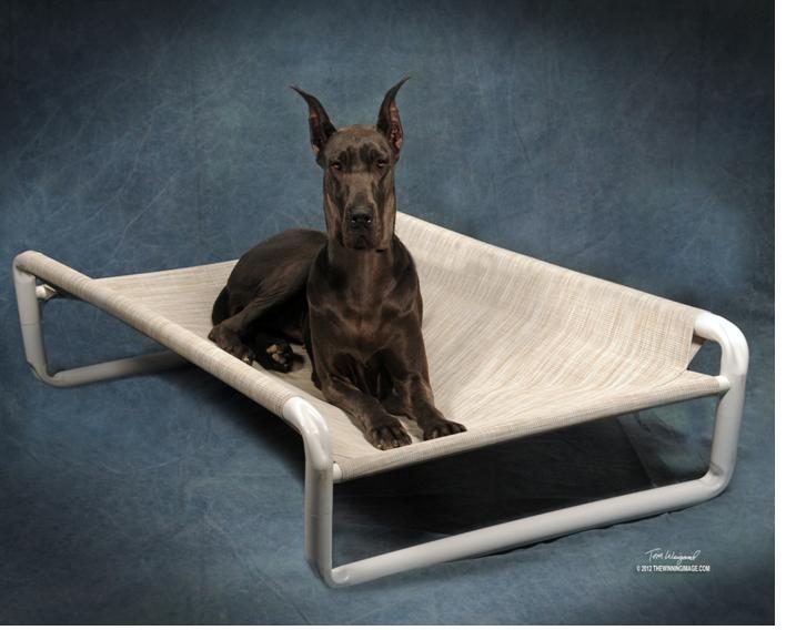 Extra Large Elevated Dog Beds