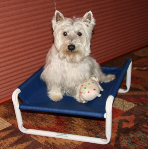 Small Pet Bed Frame