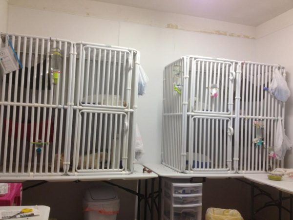 Cat Cage Support Frames