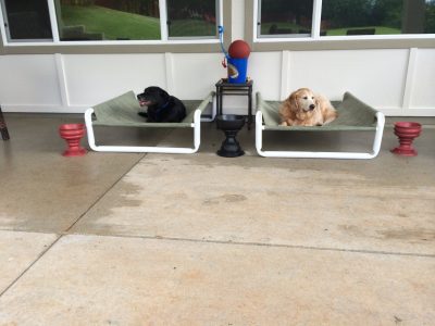 Outdoor Elevated Pooch Bed