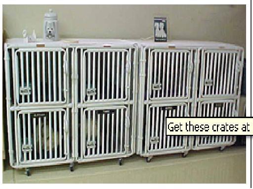 Large Dogs Kennels