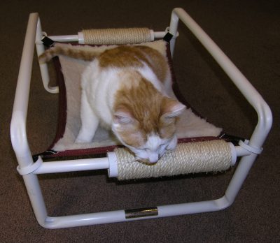 Raised Indoor Cat Bed