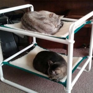 Two Level Cats Bed Frame