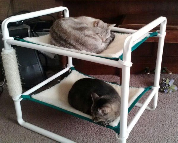 Two Level Cats Bed Frame