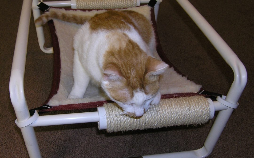 Indoor Raised Cat Beds