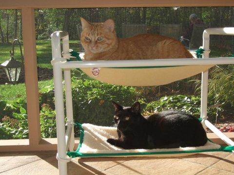 Outdoor Elevated Cat Bed by Roverpet.com