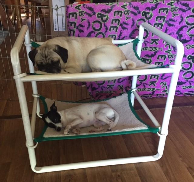Indoor Comfy Cat Cabins