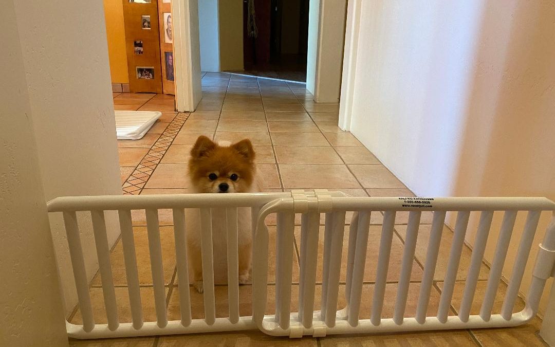 Indoor Plastic Canine Barrier