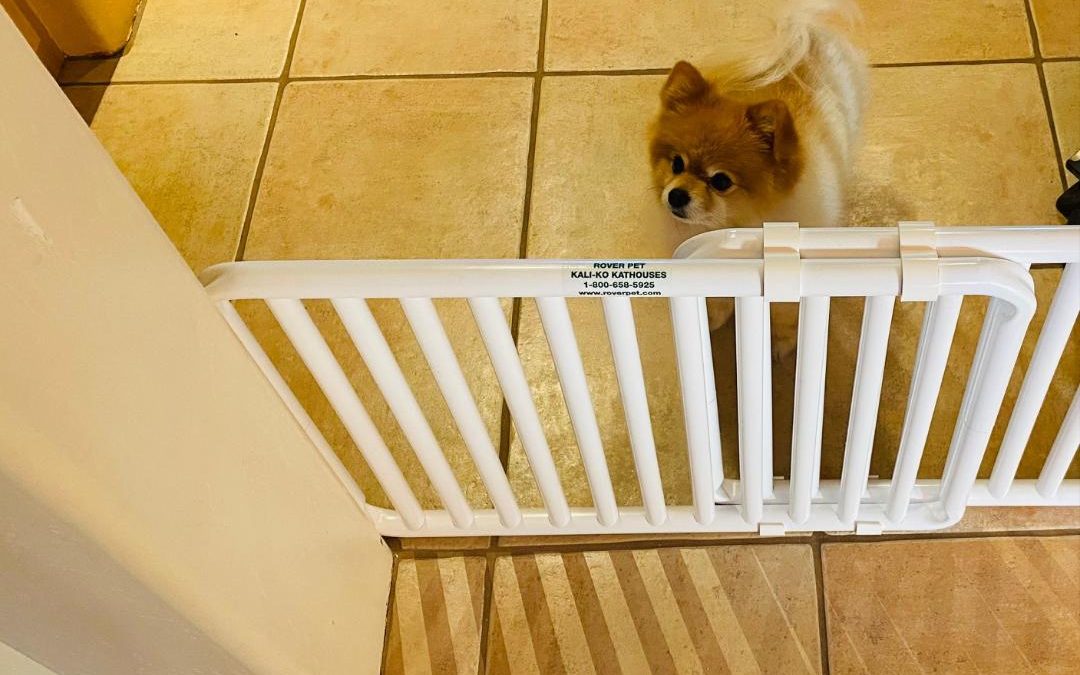 Indoor Plastic Puppy Barrier