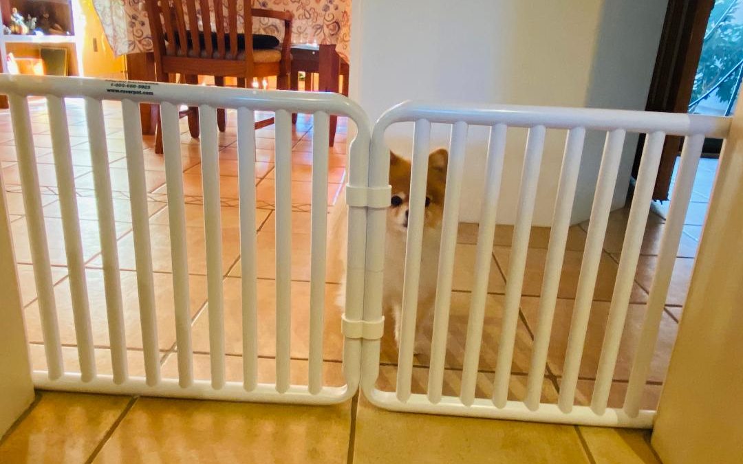 Indoor Plastic Dog Barriers