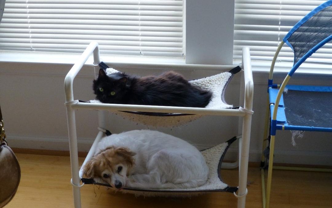 Indoor Comfy Cat Hammocks