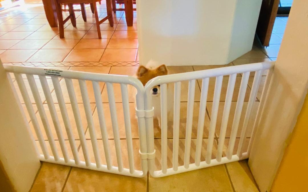 Indoor PVC Dog Barriers