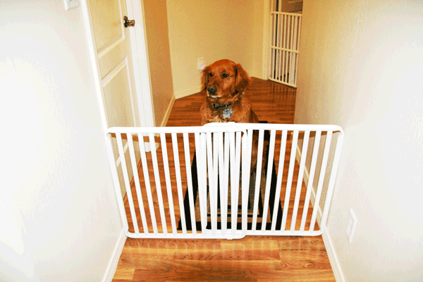 Tall Indoor Pet Barrier