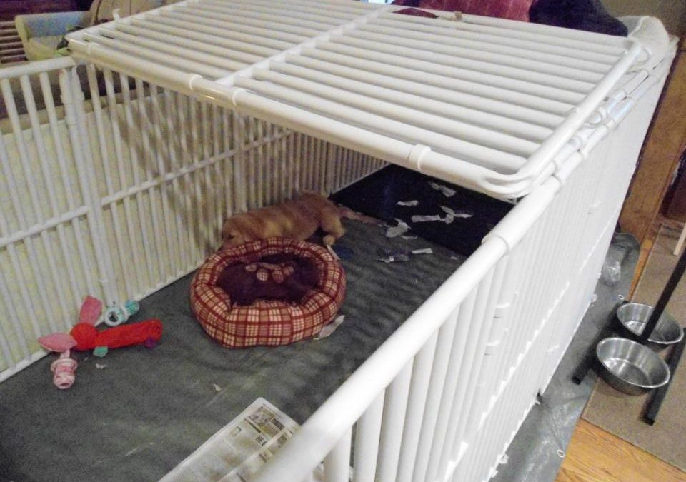 Small Canine Playpen Cover