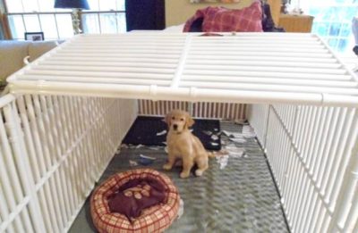 Best Puppy Enclosure Covers