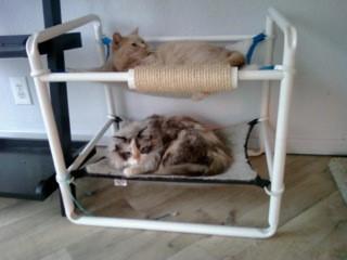 Elevated Cat Hammock Beds